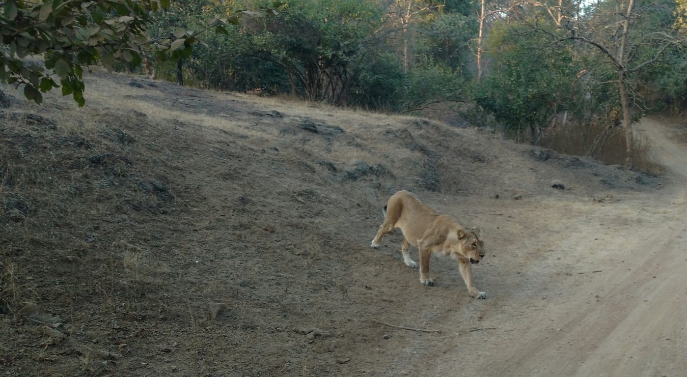 IMG_20161228_173331186~01_m2