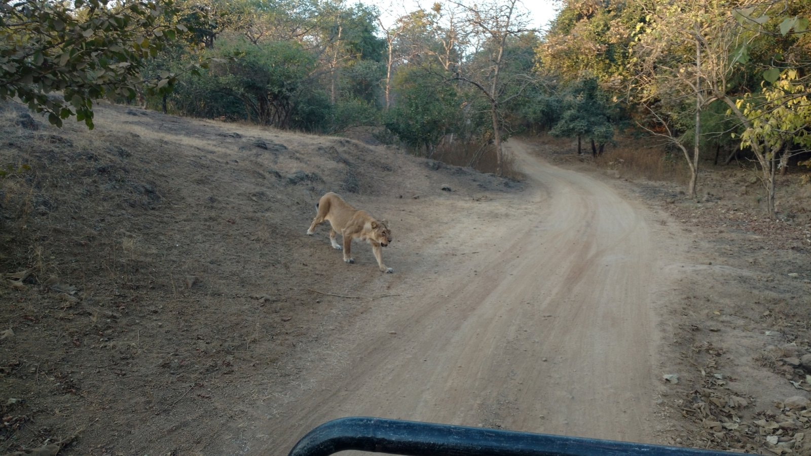 IMG_20161228_173331186_m2_m2