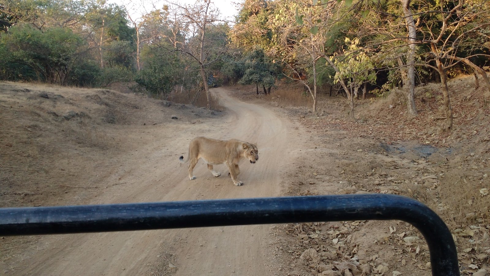 IMG_20161228_173331628_m2