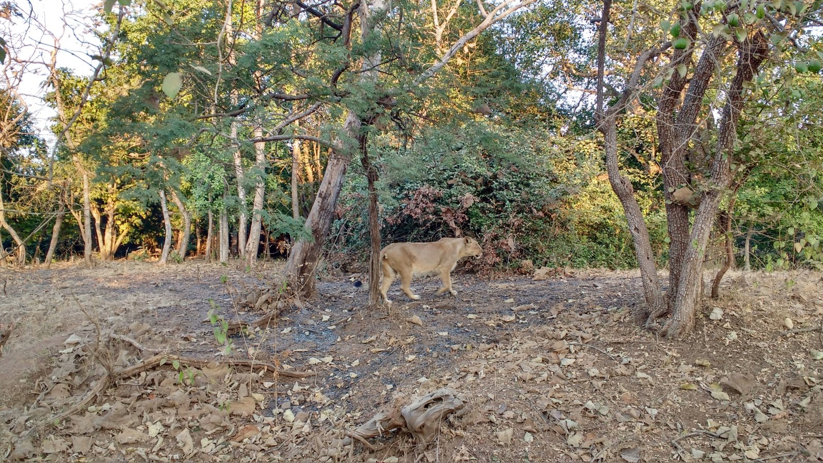 IMG_20161228_173345050_HDR_m2