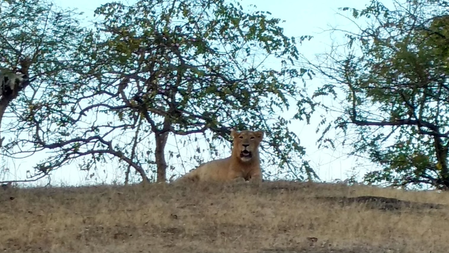 IMG_20161228_173957599_HDR_m2