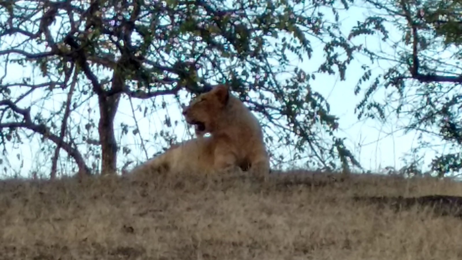 IMG_20161228_174004755_HDR_m2