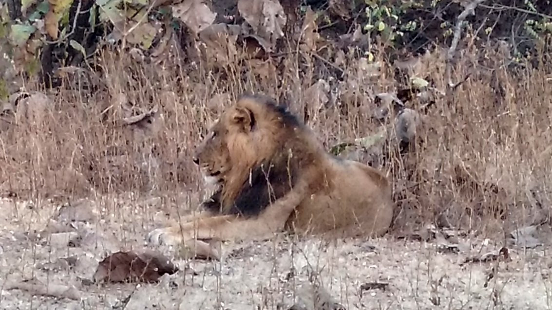 IMG_20161228_174705515_HDR_m2