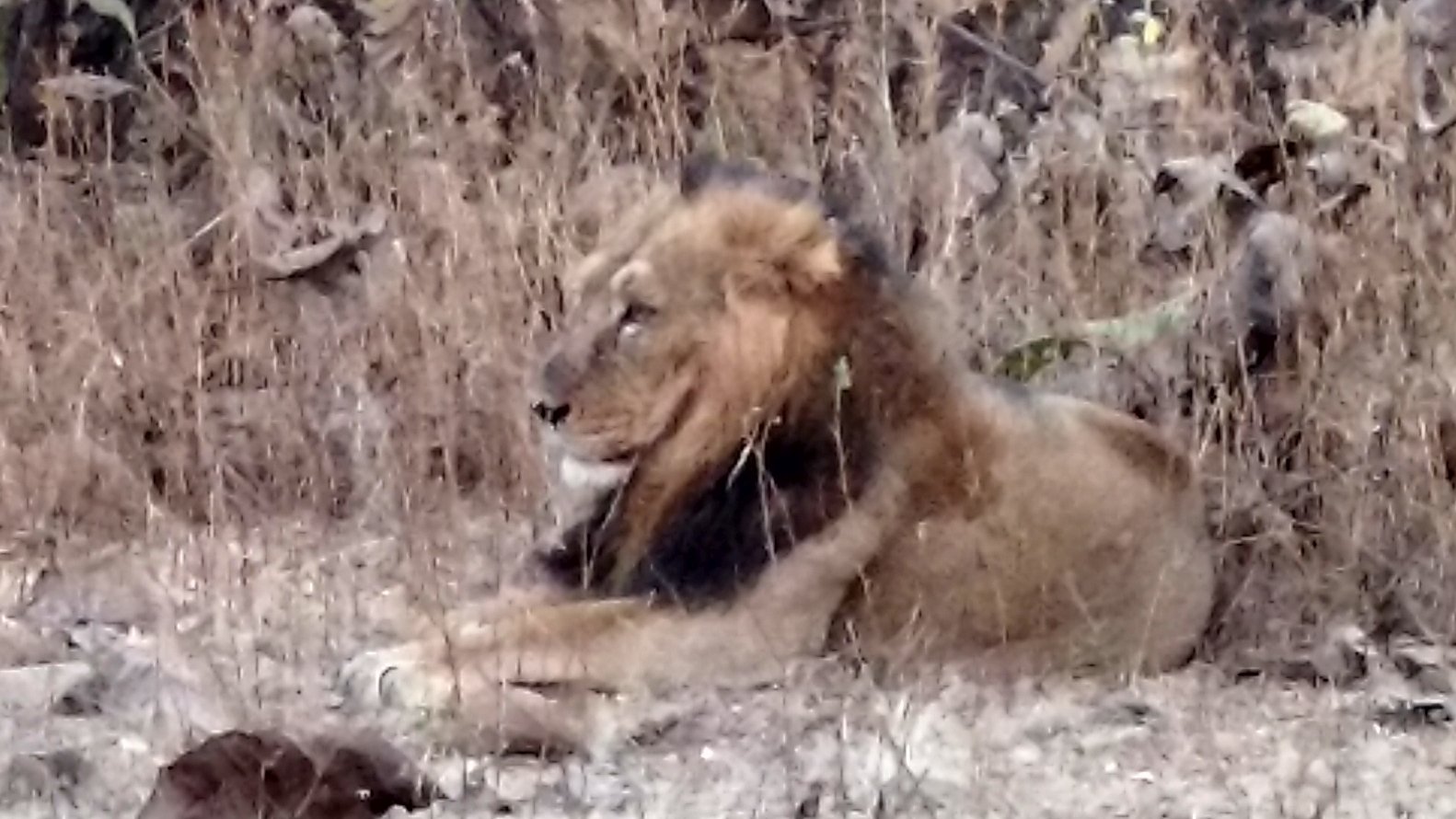 IMG_20161228_174744293_HDR_m2